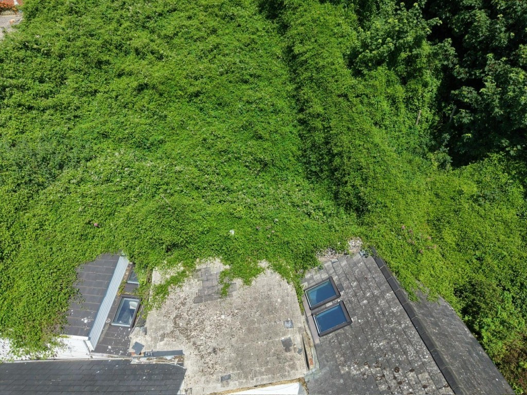 Lot: 179 - LEASEHOLD TOWN CENTRE COTTAGE FOR IMPROVEMENT WITH ADDITIONAL FREEHOLD LAND TO THE REAR - View of Garden